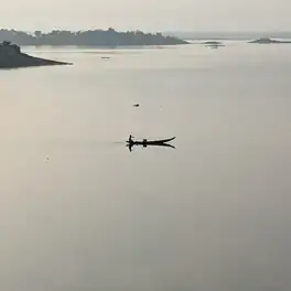 কাপ্তাই লেকের মাছ