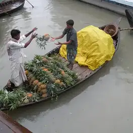 আনারস