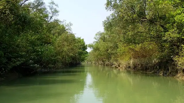 চর কুকরি-মুকরি