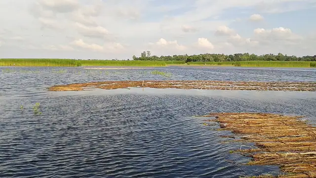 নাটোর