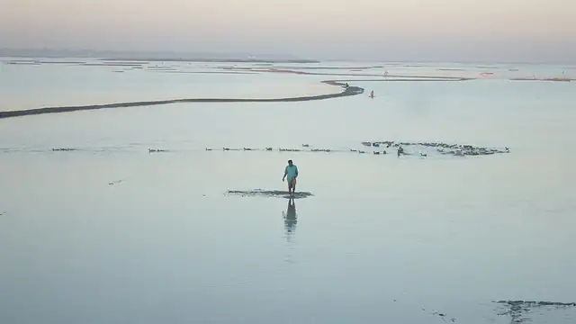 নিকলী হাওর ও জঙ্গলবাড়ি