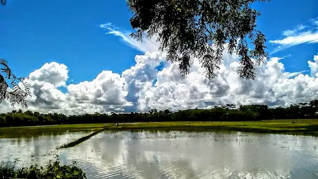 পাথরঘাটা