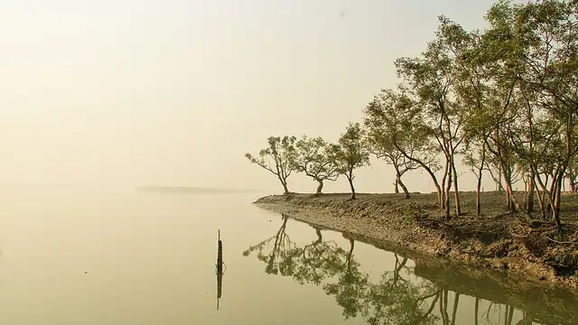 শ্যামনগর ও কৈখালী