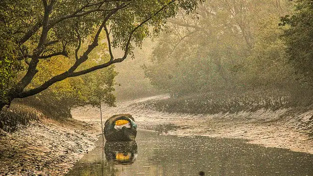 সুন্দরবন
