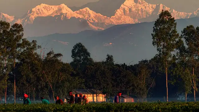 তেঁতুলিয়া