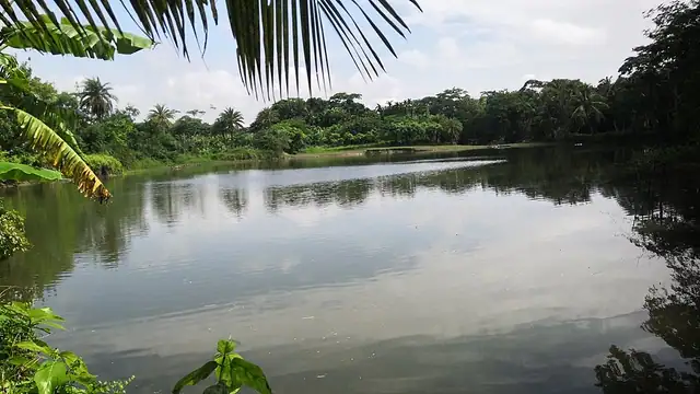 টুঙ্গিপাড়া ও ওড়াকান্দি