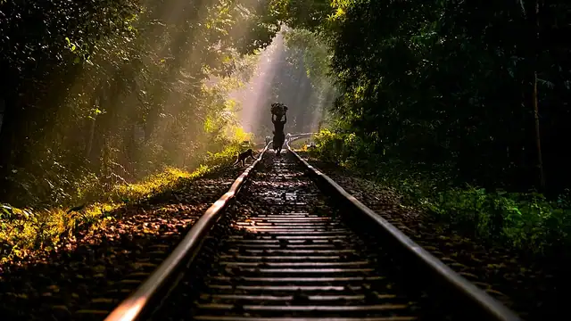 লাউয়াছড়া জাতীয় উদ্যান